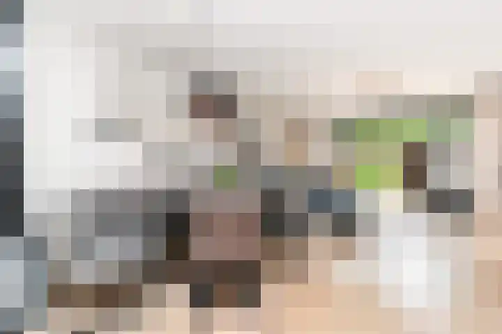 Adelaarshorst 2 Honselersdijk thumbnail 7