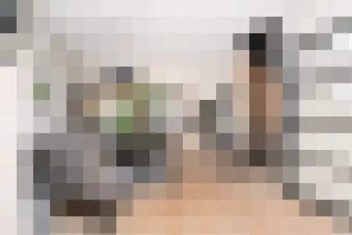 Adelaarshorst 2 Honselersdijk thumbnail 8