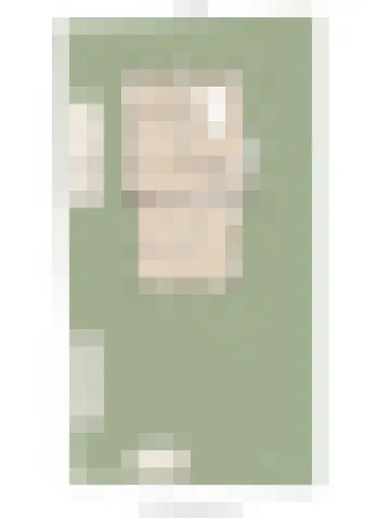 Adelaarshorst 2 Honselersdijk thumbnail 9