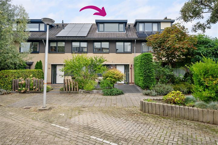 Adelaarsvaren 77 in Bergschenhoek foto