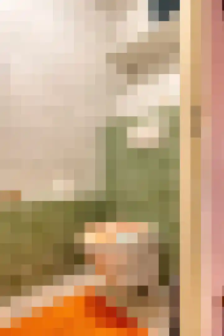 Adelaartlaan 108 Geldrop thumbnail 11