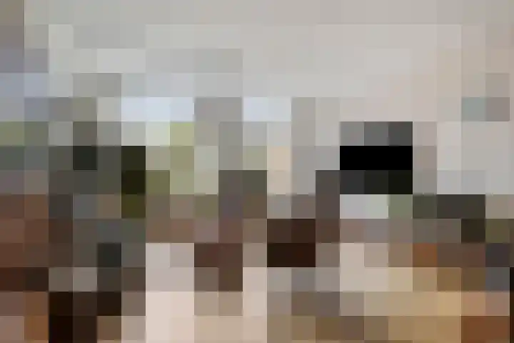 Adelaartlaan 108 Geldrop thumbnail 14