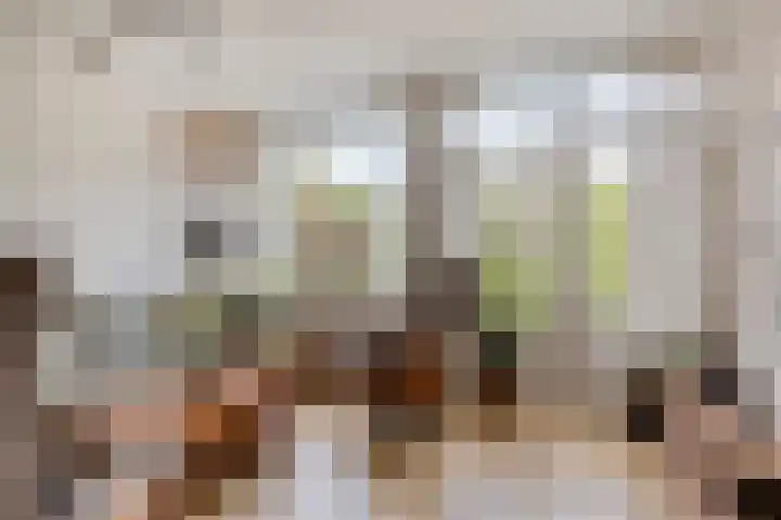 Adelaartlaan 108 Geldrop thumbnail 15