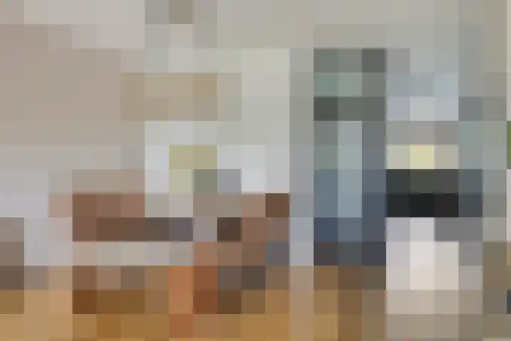 Adelaartlaan 108 Geldrop thumbnail 17
