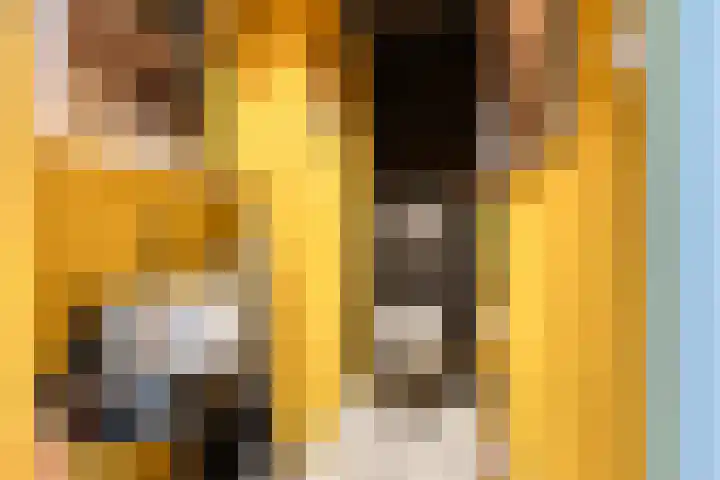 Adelaartlaan 108 Geldrop thumbnail 18
