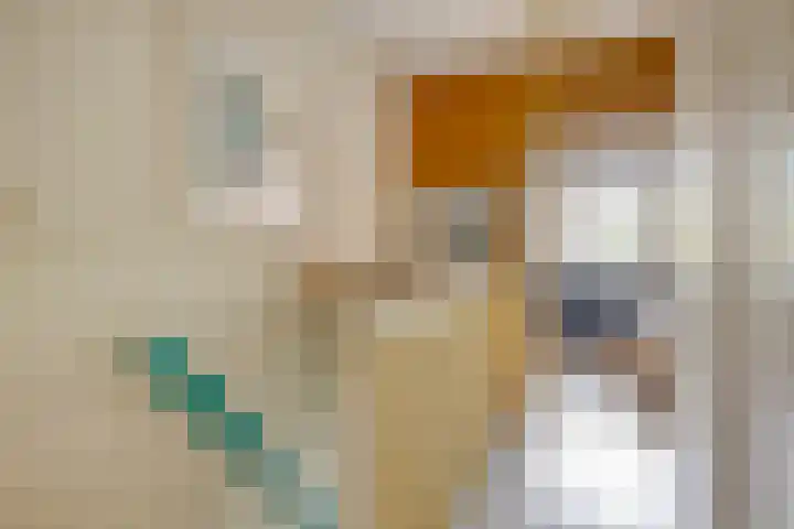 Adelaartlaan 108 Geldrop thumbnail 23