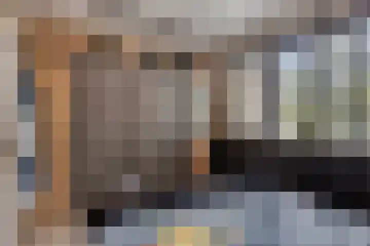 Adelaartlaan 108 Geldrop thumbnail 27