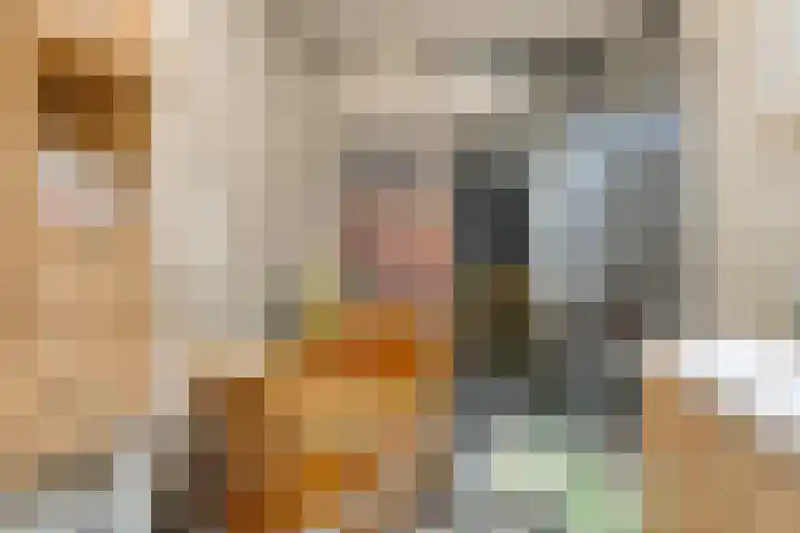 Adelaartlaan 108 Geldrop thumbnail 28