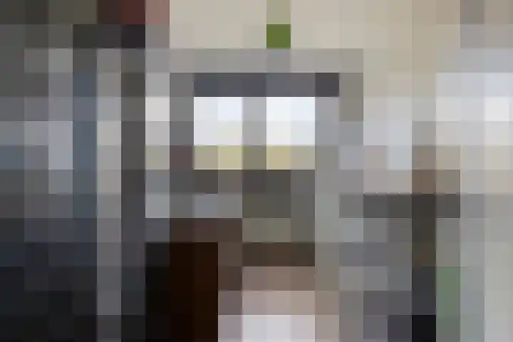 Adelaartlaan 108 Geldrop thumbnail 31