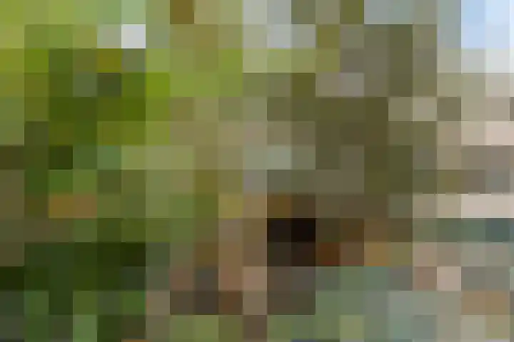 Adelaartlaan 108 Geldrop thumbnail 35
