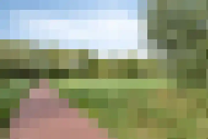 Adelaartlaan 108 Geldrop thumbnail 39