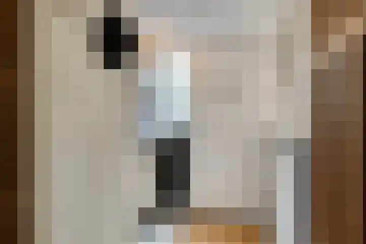 Adelaartlaan 108 Geldrop thumbnail 4