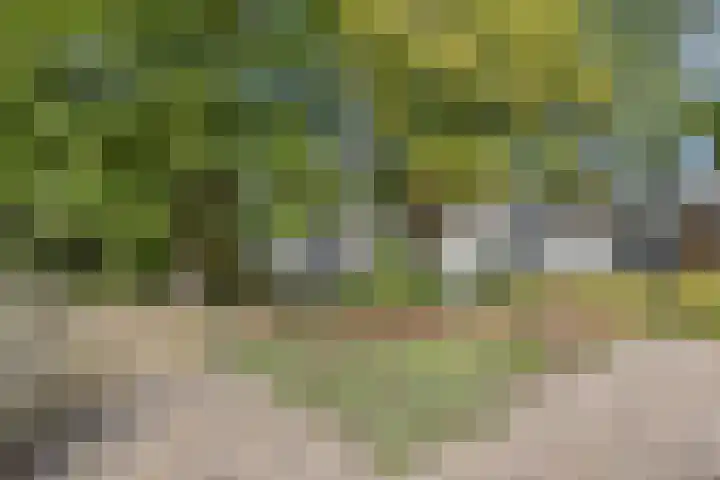 Adelaartlaan 108 Geldrop thumbnail 40