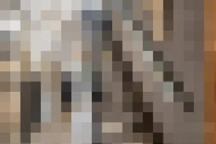 Adelaartlaan 108 Geldrop thumbnail 5