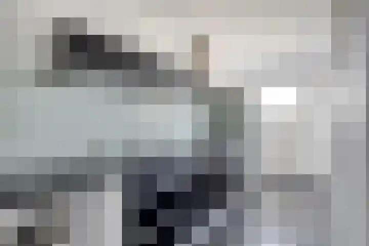 Adelbert van Scharnlaan E 4 Maastricht thumbnail 6