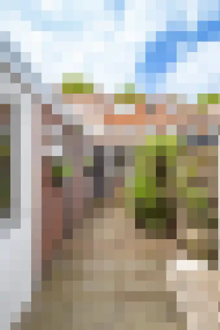 Adelboldstraat 38 Utrecht thumbnail 20
