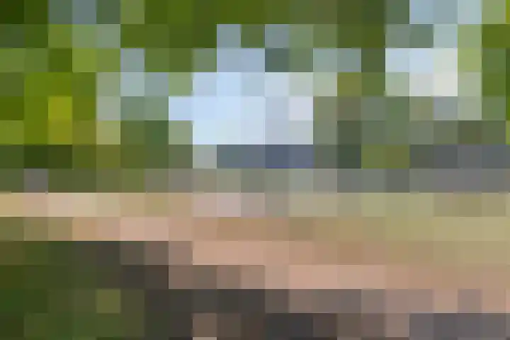 Adelstraat 12 A Made thumbnail 36
