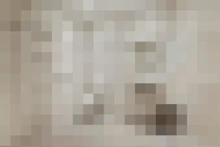 Adelsweg 14 Lienden thumbnail 17