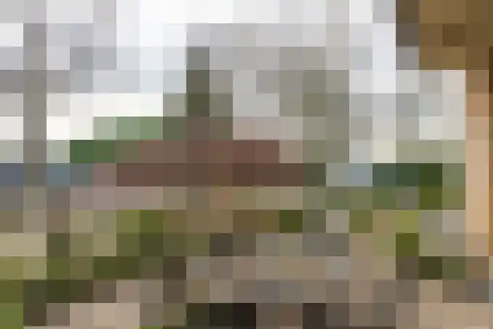 Adelsweg 14 Lienden thumbnail 21