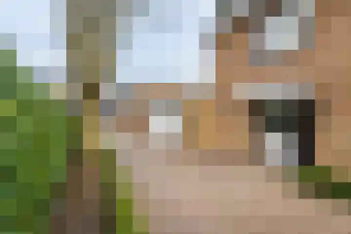 Adelsweg 14 Lienden thumbnail 22