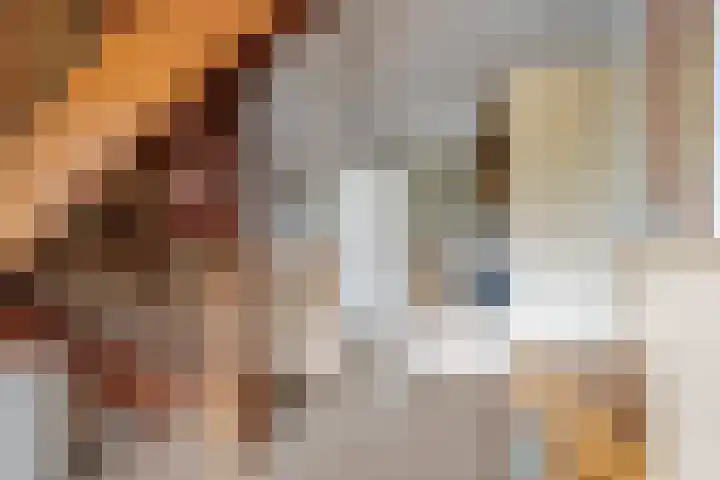 Adelsweg 14 Lienden thumbnail 29