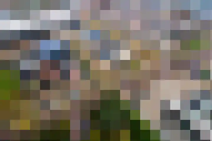 Adelsweg 14 Lienden thumbnail 58
