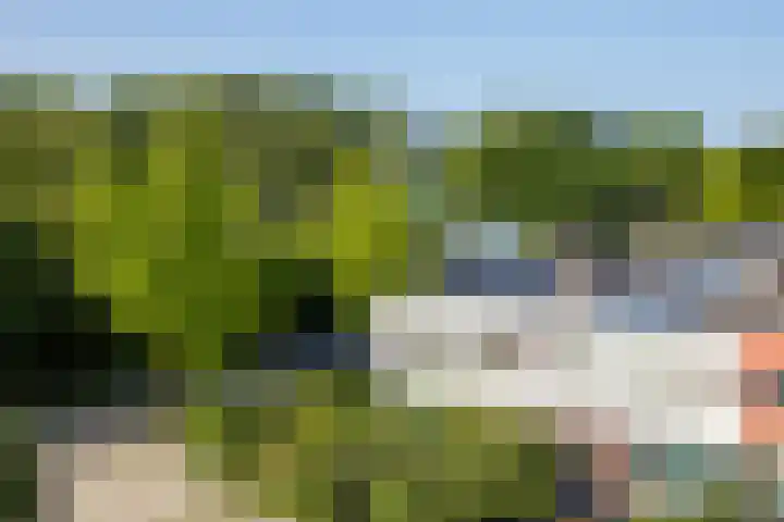 Adenauerlaan 15 Utrecht thumbnail 14