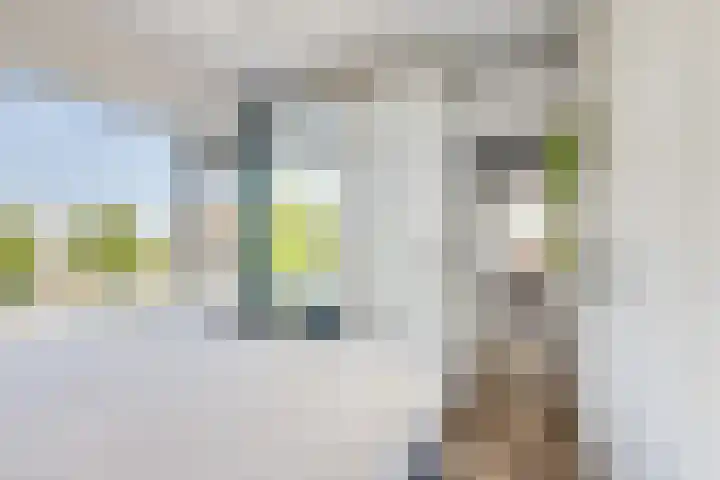 Adenauerlaan 15 Utrecht thumbnail 25