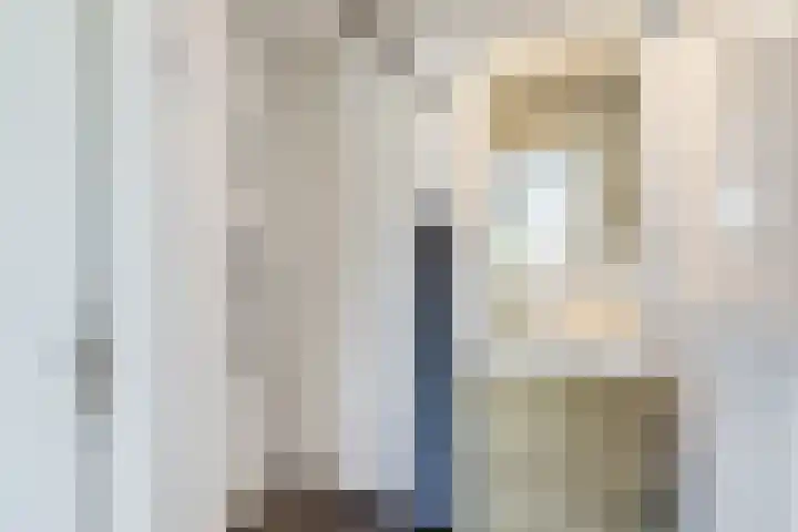 Adenauerlaan 15 Utrecht thumbnail 27