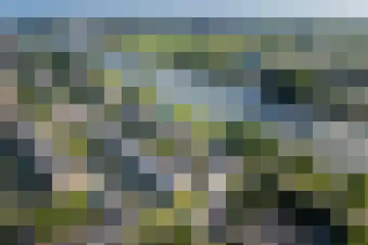 Adenauerlaan 15 Utrecht thumbnail 32