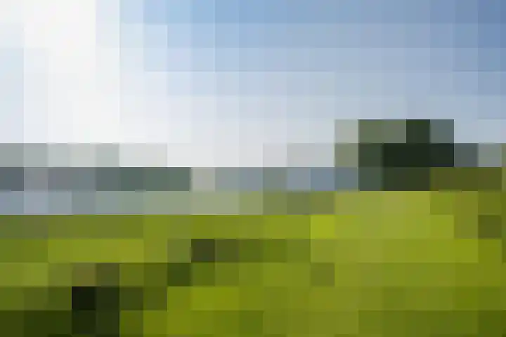 Adenauerlaan 15 Utrecht thumbnail 38