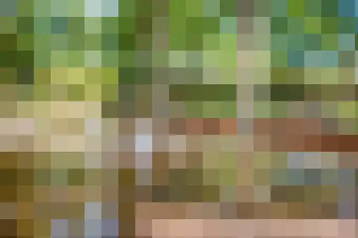 Adenauerlaan 15 Utrecht thumbnail 40