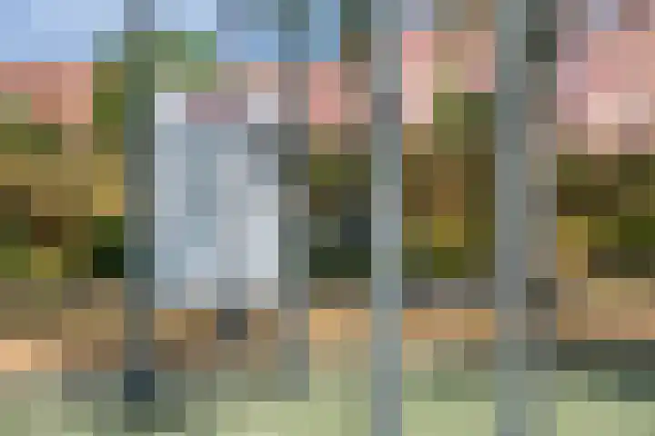 Adenauerlaan 15 Utrecht thumbnail 42