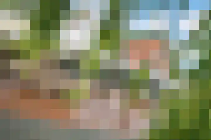 Adenauerlaan 15 Utrecht thumbnail 45
