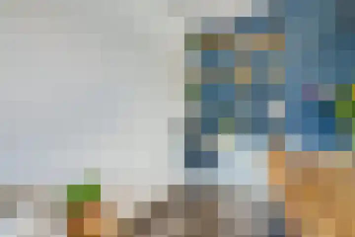Adenauerlaan 15 Utrecht thumbnail 7