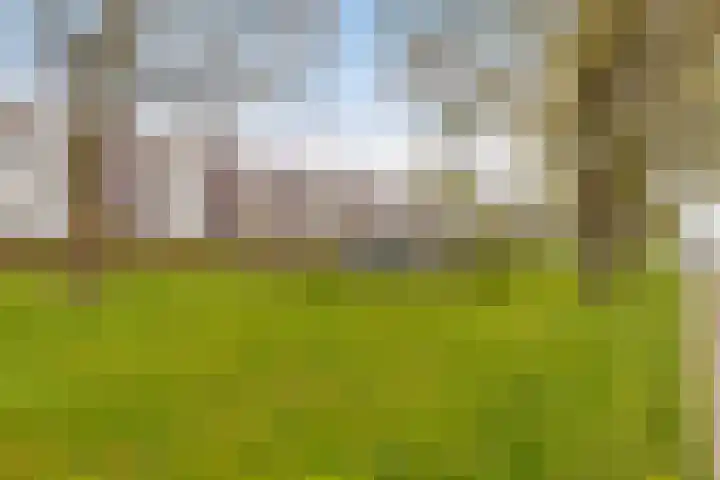 Adenauerlaan 85 Utrecht thumbnail 38