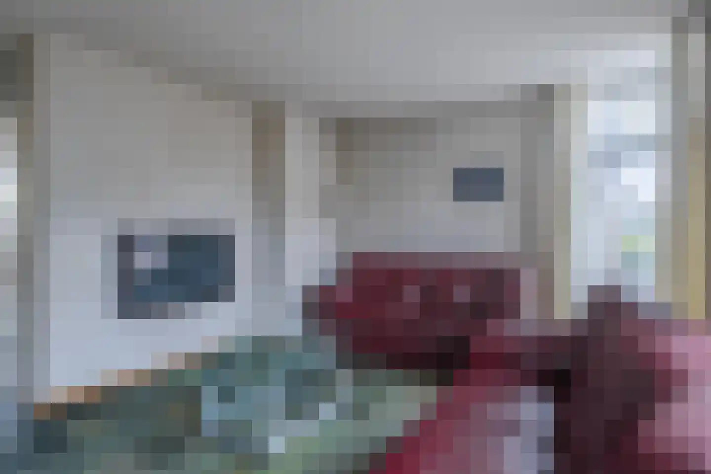 Adenauerstraat 11 Zevenaar thumbnail 12