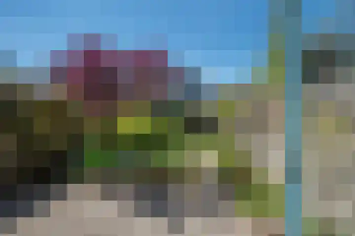 Adenstraat 6 Delft thumbnail 12