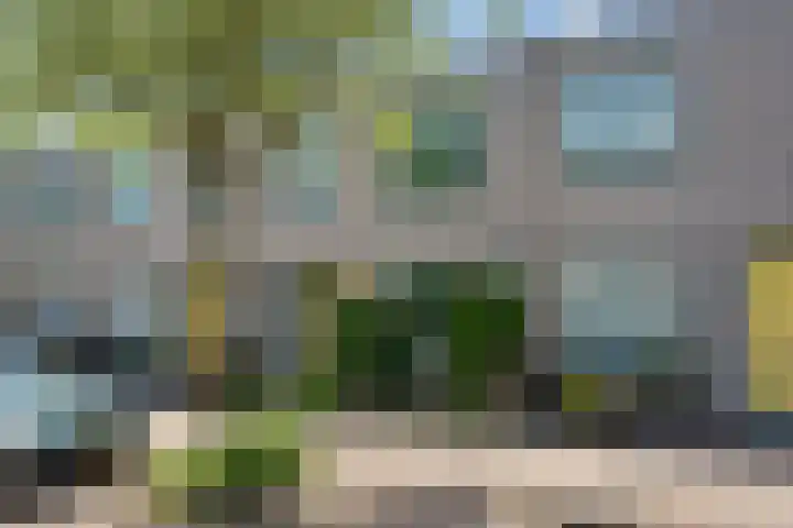 Adenstraat 6 Delft thumbnail 33