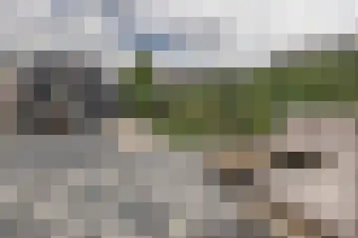 Adjudant 10 Gorinchem thumbnail 13