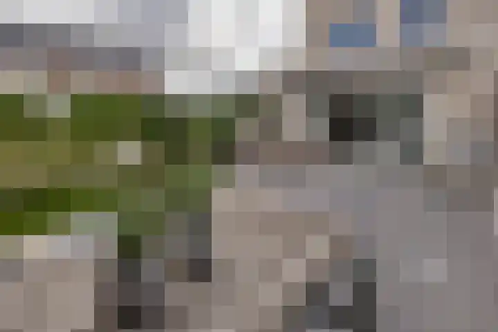 Adjudant 10 Gorinchem thumbnail 15