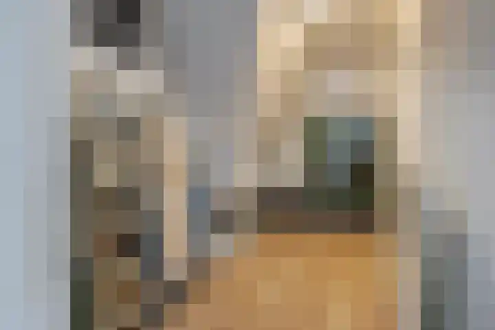 Adjudant 10 Gorinchem thumbnail 33