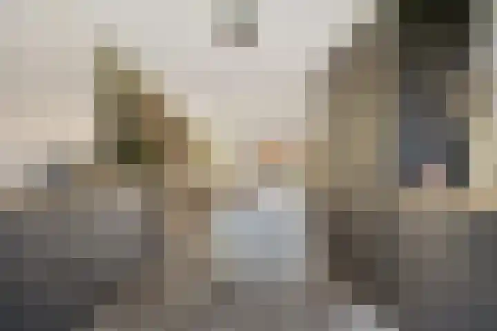 Adjudant 16 Gorinchem thumbnail 10