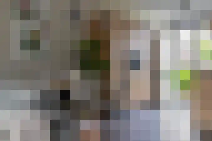 Adjudant 3 Gorinchem thumbnail 10