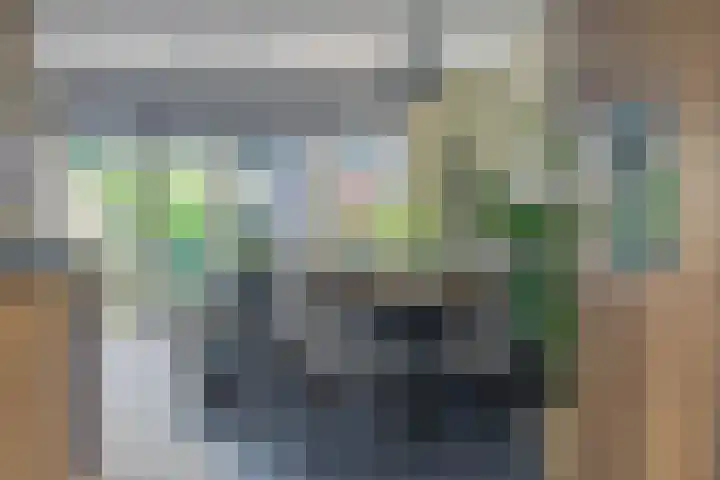 Adjudant 3 Gorinchem thumbnail 14
