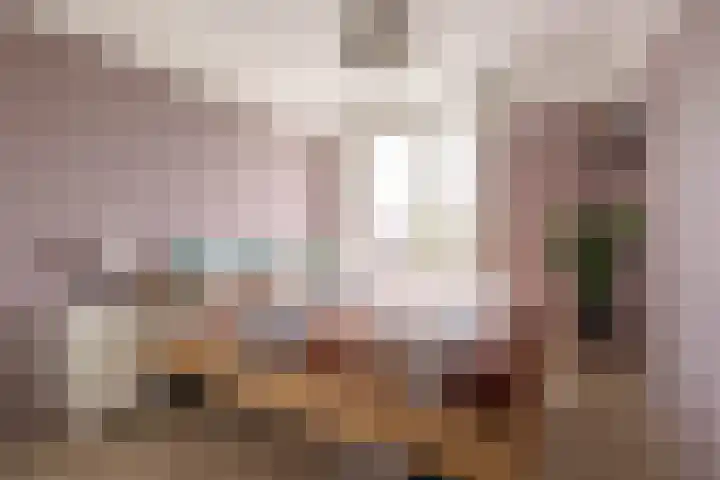 Adjudant 3 Gorinchem thumbnail 15