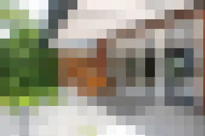 Adjudant 3 Gorinchem thumbnail 31