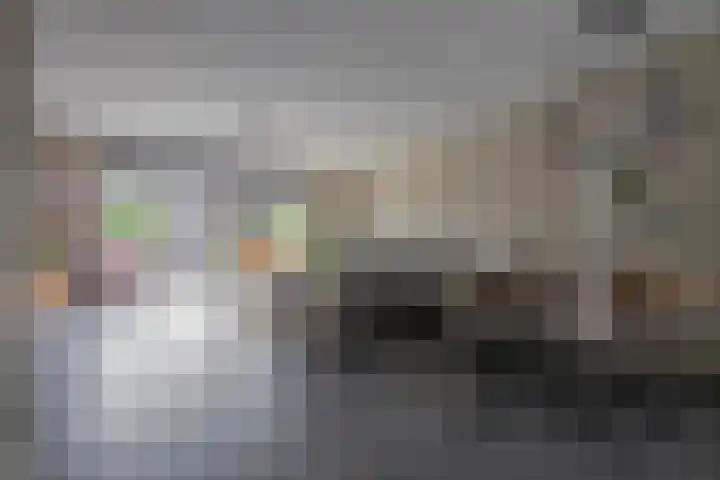 Adjudant 3 Gorinchem thumbnail 8