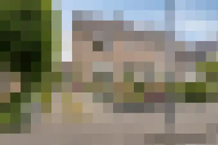 Kantoor foto van ADOMU