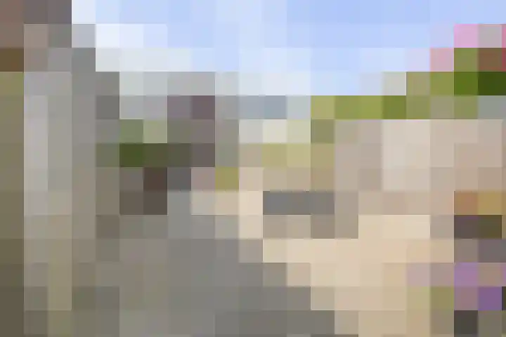 Adonislaan 18 Helmond thumbnail 31